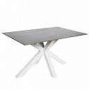 Table Fixe Joyce Gris/Blanc