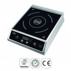 Plaque de cuisson à Induction Portable Professionnel 2700 W